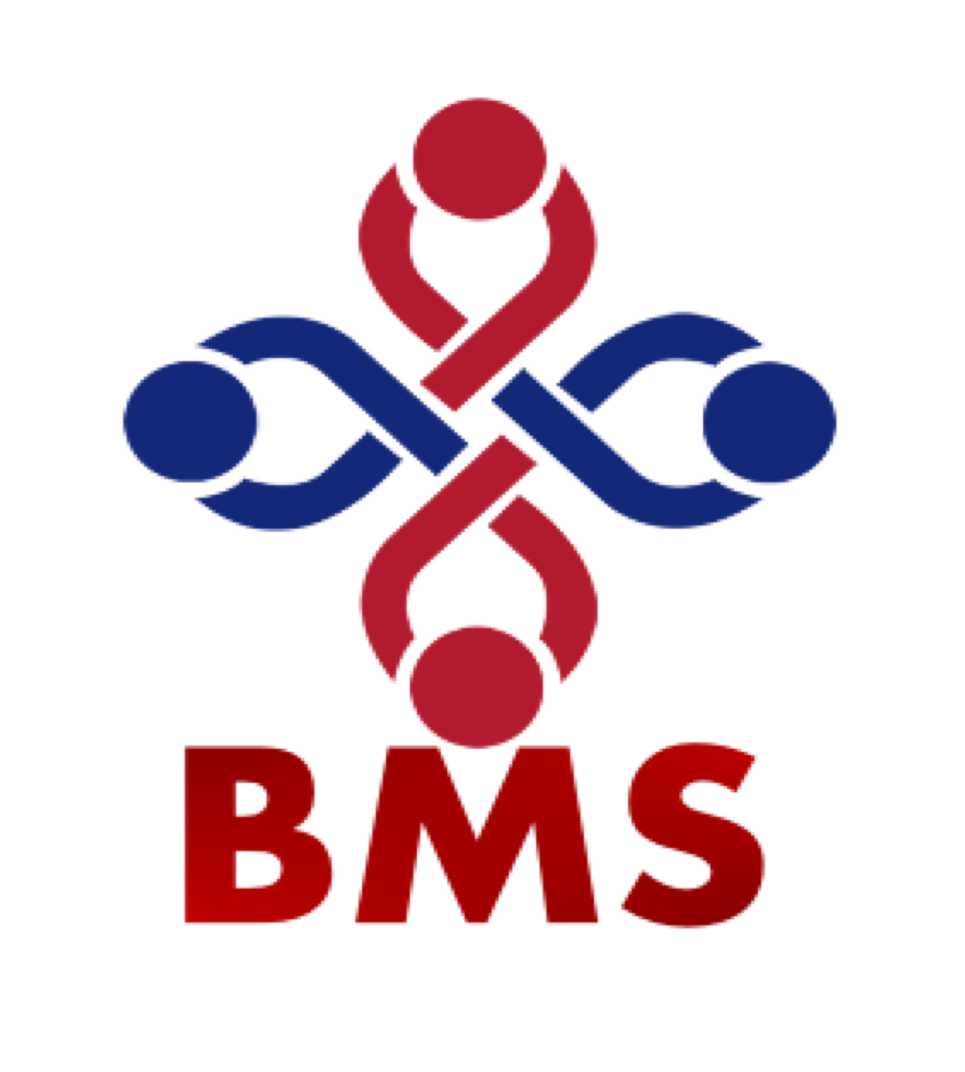 BMS Logo